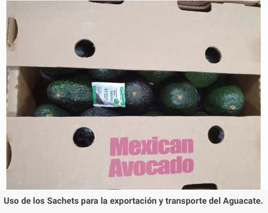 2500 Sachets Retrasa Maduración 5g c/u Absorbentes De Etileno