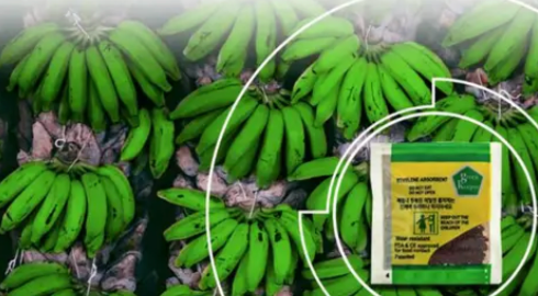 2500 Sachets Retrasa Maduración 5g c/u Absorbentes De Etileno